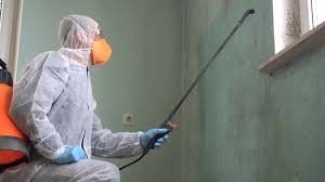 Best Asbestos and Lead Testing During Mold Inspection  in Holly, MI