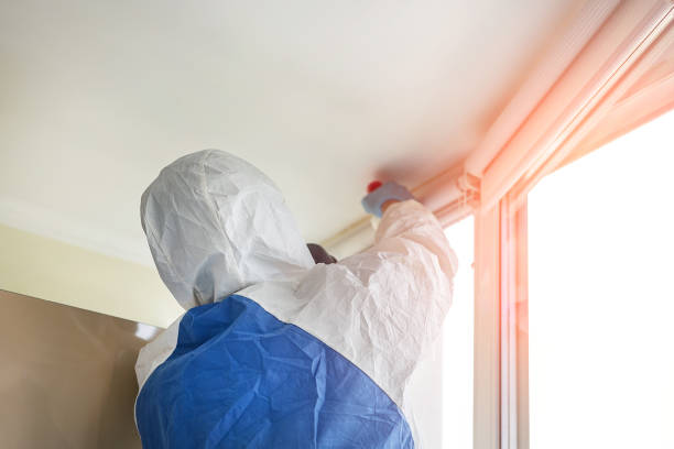 Best Forensic Mold Investigation  in Holly, MI